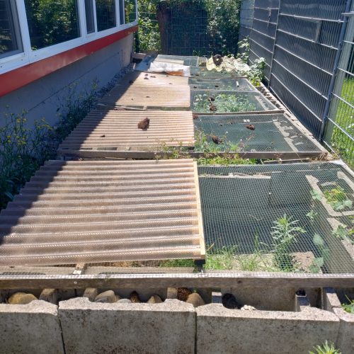 Schildkrötengehege_Tierheim_Karlsruhe