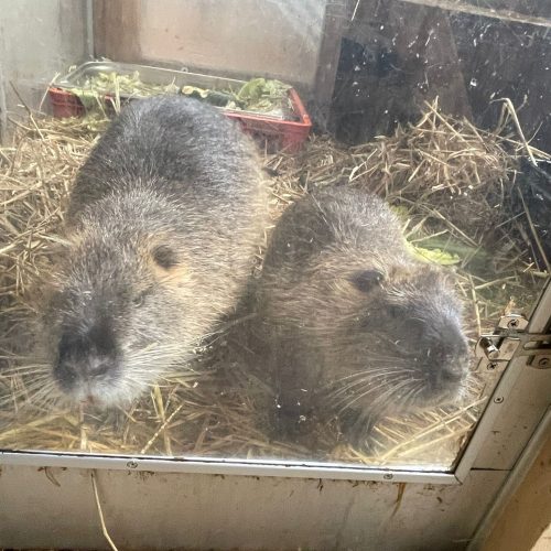 WhatsApp Image 2025-06-08 at 16.51.52